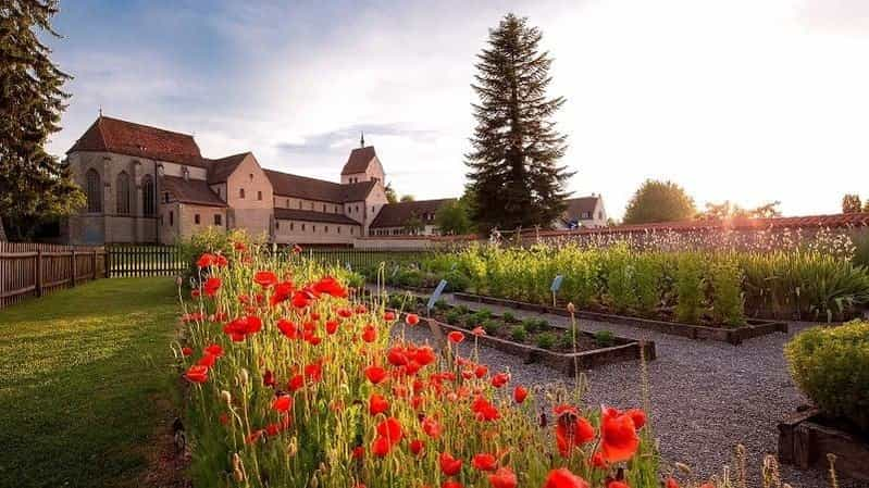 Insel Reichenau mit Mohnblumen